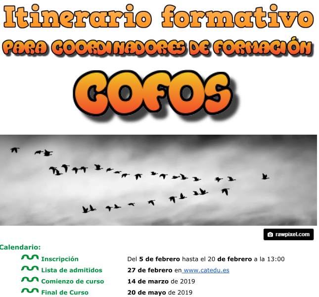 2019-02-04 12 17 43-ITINERARIO FORMATIVO COFOS-19 - PDF-XChange Viewer